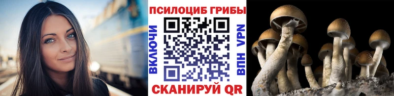 Галлюциногенные грибы Cubensis Рудня